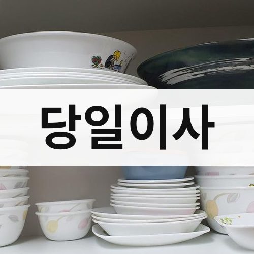 경기 북부(고양·파주·남양주) 당일이사 포장이사